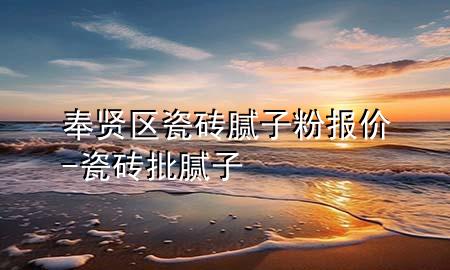 奉賢區(qū)瓷磚膩子粉報價-瓷磚批膩子