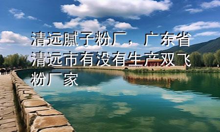 清遠(yuǎn)膩?zhàn)臃蹚S，廣東省清遠(yuǎn)市有沒有生產(chǎn)雙飛粉廠家