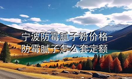 寧波防霉膩子粉價格-防霉膩子怎么套定額