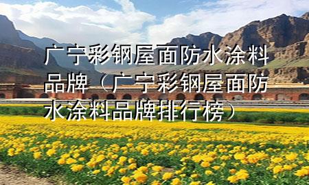 廣寧彩鋼屋面防水涂料品牌（廣寧彩鋼屋面防水涂料品牌排行榜）
