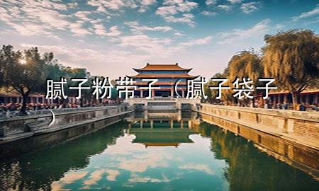 膩子粉帶子（膩子袋子）