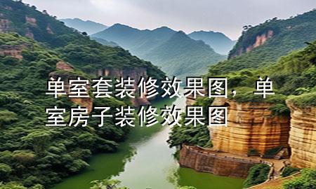 單室套裝修效果圖，單室房子裝修效果圖