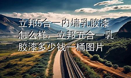 立邦5合一內(nèi)墻乳膠漆怎么樣，立邦五合一乳膠漆多少錢一桶圖片