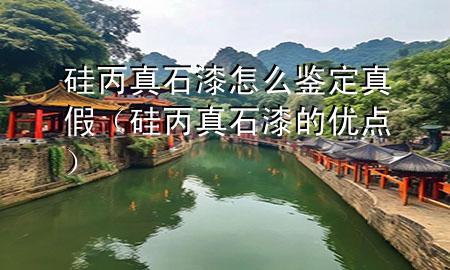 硅丙真石漆怎么鑒定真假（硅丙真石漆的優(yōu)點）