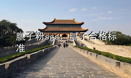 膩?zhàn)臃踫gs，膩?zhàn)雍细駱?biāo)準(zhǔn)