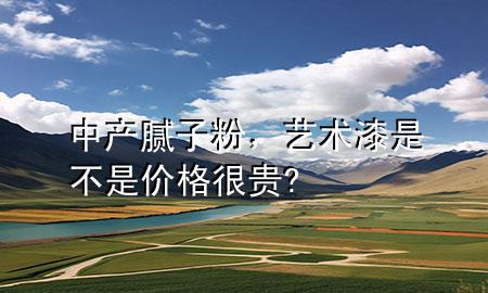 中產(chǎn)膩子粉，藝術(shù)漆是不是價格很貴?