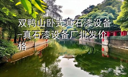 雙鴨山臥式真石漆設(shè)備-真石漆設(shè)備廠批發(fā)價格