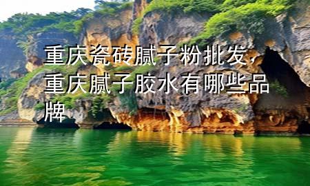 重慶瓷磚膩子粉批發(fā)，重慶膩子膠水有哪些品牌