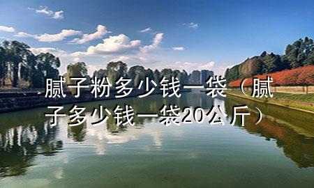 膩?zhàn)臃鄱嗌馘X一袋（膩?zhàn)佣嗌馘X一袋20公斤）
