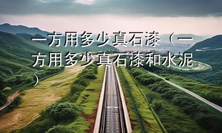 一方用多少真石漆（一方用多少真石漆和水泥）