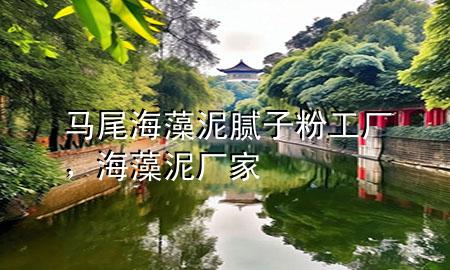 馬尾海藻泥膩子粉工廠，海藻泥廠家