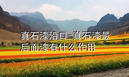 真石漆沿口-真石漆最后面漆有什么作用