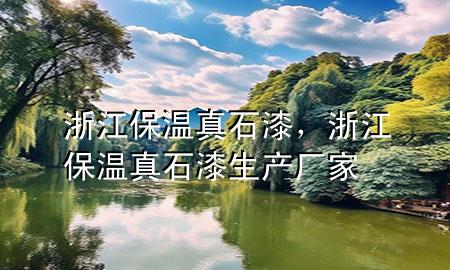 浙江保溫真石漆，浙江保溫真石漆生產(chǎn)廠家