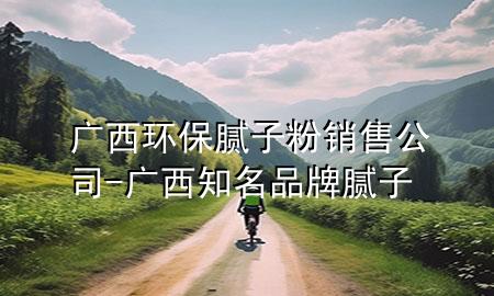 廣西環(huán)保膩子粉銷售公司-廣西知名品牌膩子