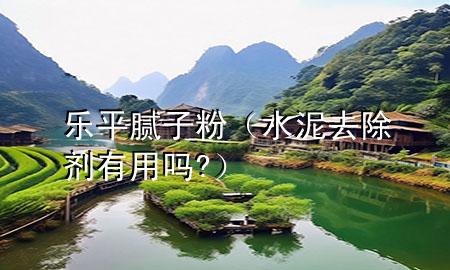 樂平膩?zhàn)臃郏ㄋ嗳コ齽┯杏脝?）
