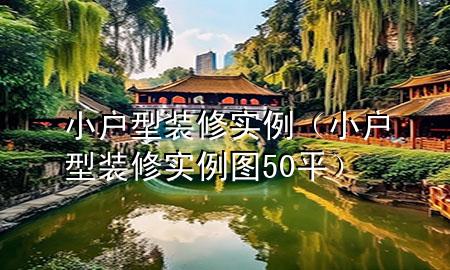 小戶型裝修實例（小戶型裝修實例圖50平）