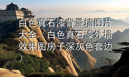 白色真石漆背景墻圖片大全（白色真石漆外墻效果圖 房子深灰色套邊）