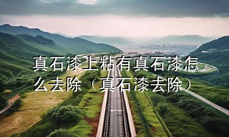 真石漆上粘有真石漆怎么去除（真石漆 去除）