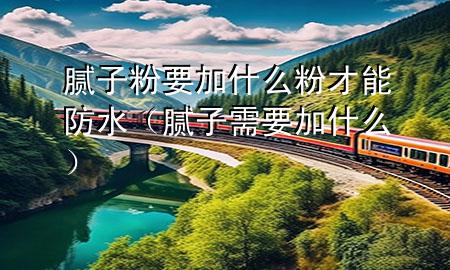 膩子粉要加什么粉才能防水（膩子需要加什么）