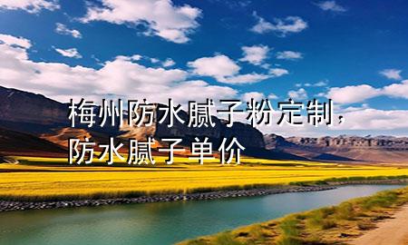 梅州防水膩子粉定制，防水膩子單價