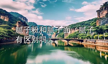 膩子粉和膩子面（膩子有區(qū)別嗎）