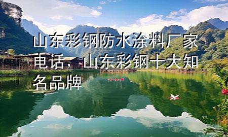山東彩鋼防水涂料廠家電話，山東彩鋼十大知名品牌