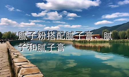 膩子粉搭配膩子膏，膩子和膩子膏