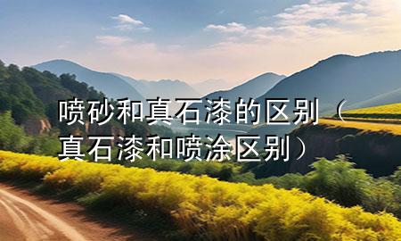 噴砂和真石漆的區(qū)別（真石漆和噴涂區(qū)別）