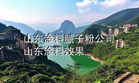 山東涂料膩子粉公司，山東涂料效果