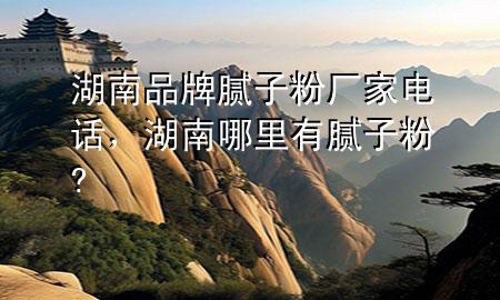 湖南品牌膩子粉廠家電話，湖南哪里有膩子粉?