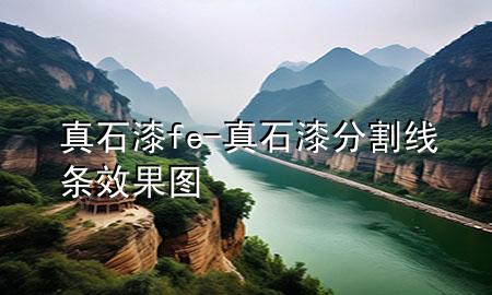 真石漆fe-真石漆分割線條效果圖