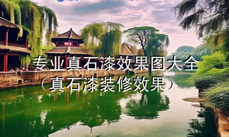 專業(yè)真石漆效果圖大全（真石漆裝修效果）
