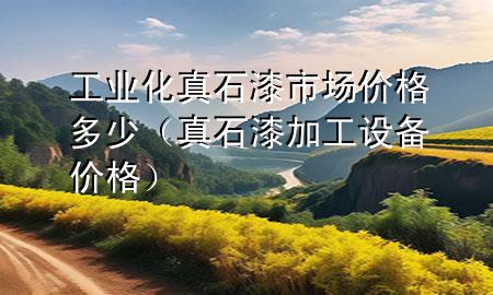 工業(yè)化真石漆市場價格多少（真石漆加工設備價格）