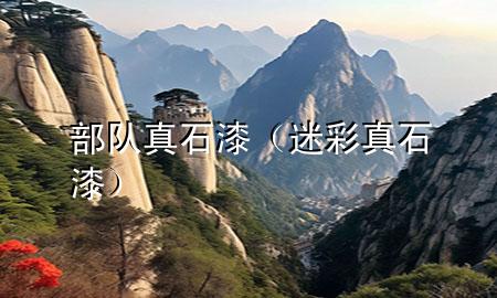 部隊(duì)真石漆（迷彩真石漆）