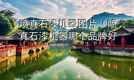 噴真石漆機(jī)器圖片（噴真石漆機(jī)器哪個(gè)品牌好）