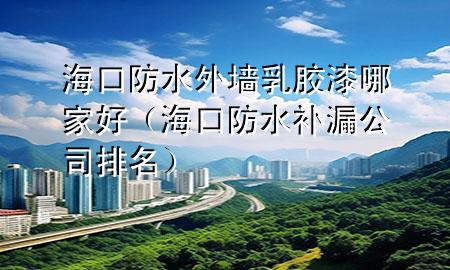?？诜浪鈮θ槟z漆哪家好（?？诜浪a(bǔ)漏公司排名）