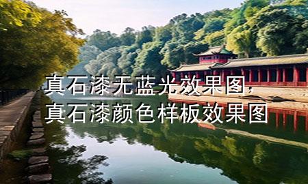 真石漆無藍(lán)光效果圖，真石漆顏色樣板效果圖