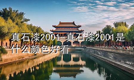 真石漆2001-真石漆2001是什么顏色好看