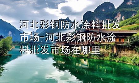河北彩鋼防水涂料批發(fā)市場-河北彩鋼防水涂料批發(fā)市場在哪里