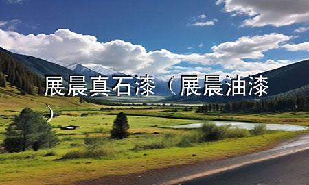 展晨真石漆（展晨油漆）