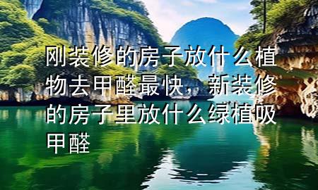 剛裝修的房子放什么植物去甲醛最快，新裝修的房子里放什么綠植吸甲醛