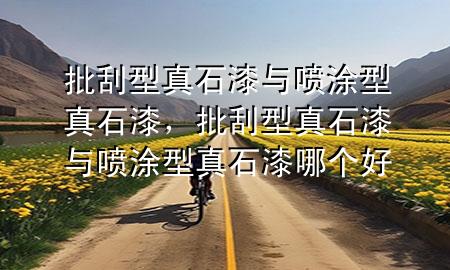 批刮型真石漆與噴涂型真石漆，批刮型真石漆與噴涂型真石漆哪個(gè)好