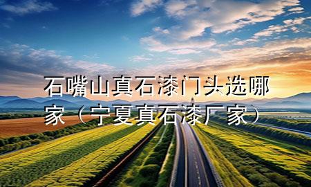 石嘴山真石漆門頭選哪家（寧夏真石漆廠家）