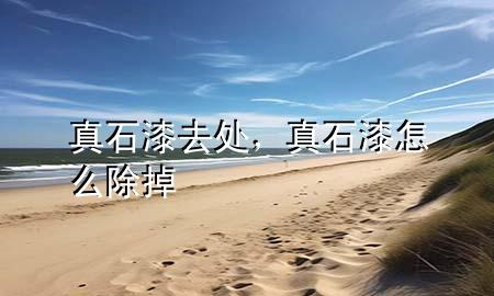真石漆去處，真石漆怎么除掉