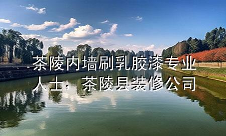 茶陵內(nèi)墻刷乳膠漆專業(yè)人士，茶陵縣裝修公司