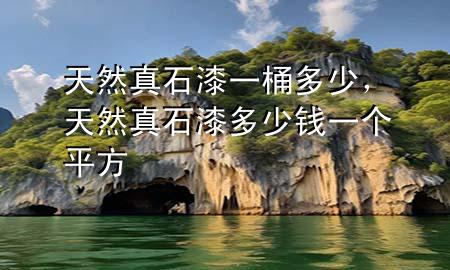 天然真石漆一桶多少，天然真石漆多少錢一個平方
