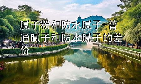 膩子粉和防水膩子-普通膩子和防水膩子的差價