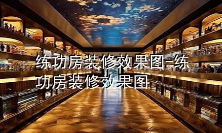 練功房裝修效果圖-練功房裝修效果圖