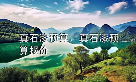 真石漆預(yù)算，真石漆預(yù)算報(bào)價(jià)