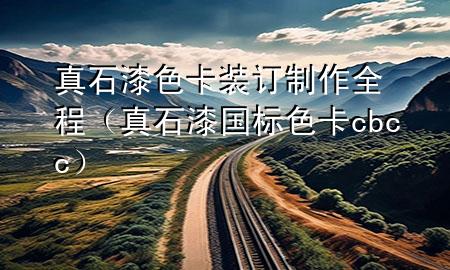 真石漆色卡裝訂制作全程（真石漆國(guó)標(biāo)色卡cbcc）